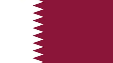 2025年3月21日发布：小篮球球员指导手册